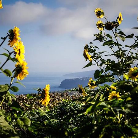 Finca Maranuela La Perdoma ภายนอก รูปภาพ